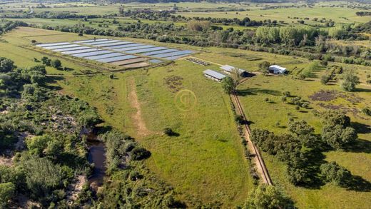 Demeure ou Maison de Campagne à Mora, Distrito de Évora