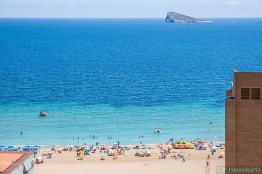 Alicante, アリカンテのペントハウス