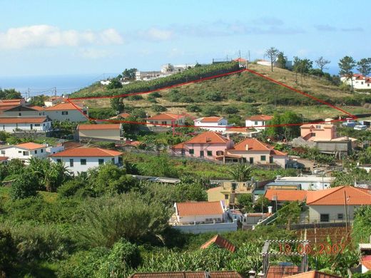 Αγροτεμάχιο σε Φουντσάλ, Funchal