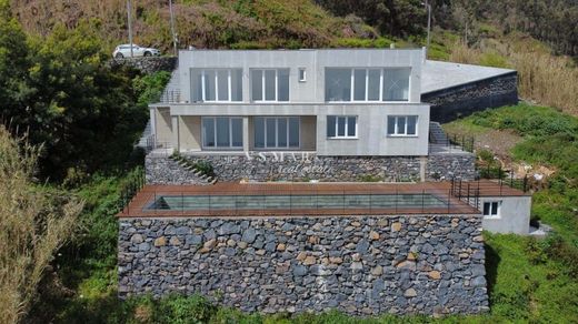 Rural or Farmhouse in Ribeira Brava, Madeira