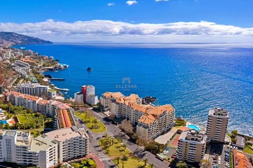 토지 / Funchal, Madeira