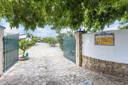 Ρουστίκ ή Αγροικίες σε Avis, Distrito de Portalegre