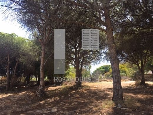 Land in Loulé, Distrito de Faro
