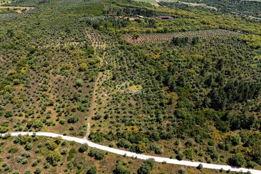 Land in Borba, Distrito de Évora