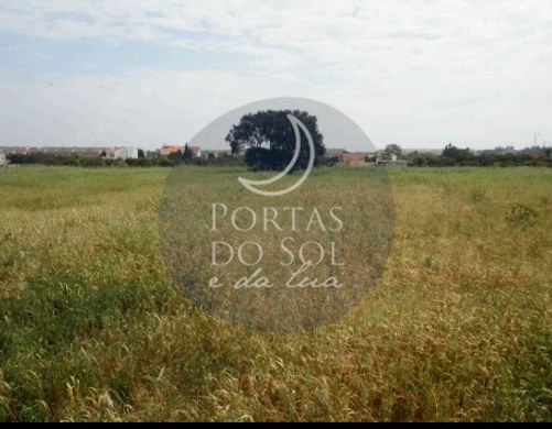 地皮  Alcochete, Distrito de Setúbal
