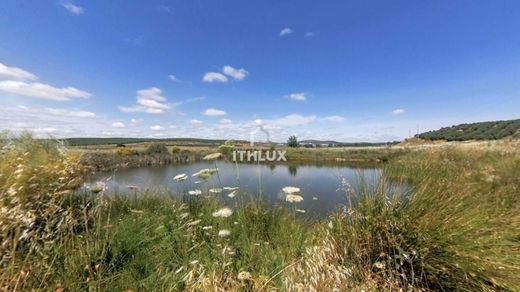 농장 / Elvas, Distrito de Portalegre