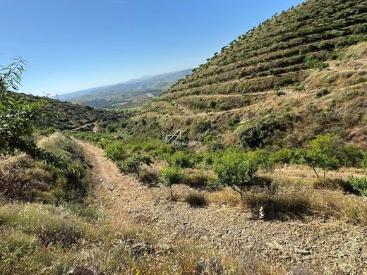 Land in Mêda, Distrito da Guarda