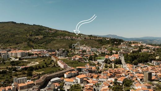 토지 / Lamego, Distrito de Viseu