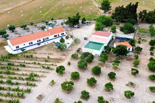 Rural or Farmhouse in Grândola, Distrito de Setúbal