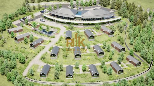 토지 / Calheta, Madeira