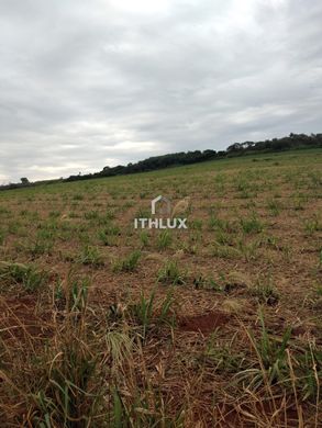Farm in Limeira, São Paulo