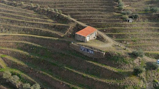 Landhaus / Bauernhof in São João da Pesqueira, Distrito de Viseu
