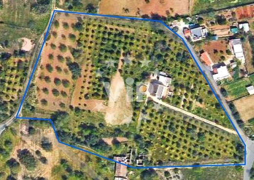 Rural or Farmhouse in Almancil, Loulé