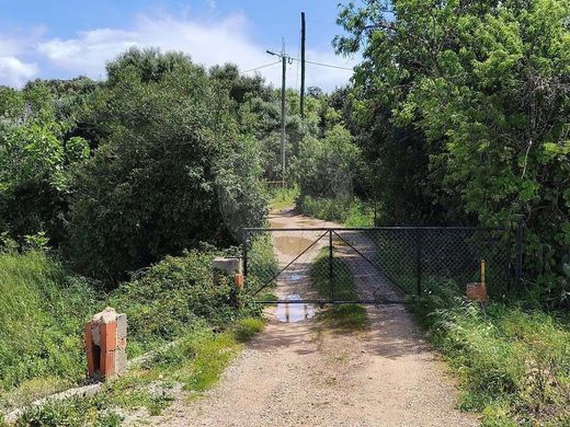 Rural or Farmhouse in Lagoa, Distrito de Faro
