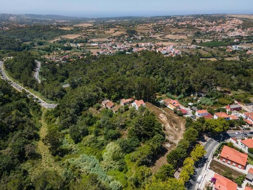 Усадьба / Сельский дом, Синтра, Sintra