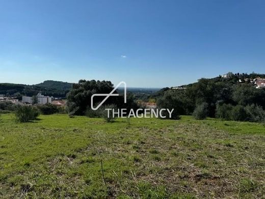 Land in Santiago do Cacém, Distrito de Setúbal