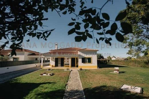 Villa in Salvaterra de Magos, Distrito de Santarém