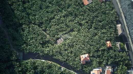 ‏קרקע ב  Ponta do Sol, Madeira