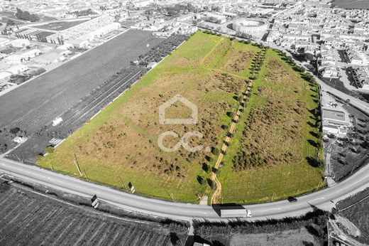 Land in Reguengos de Monsaraz, Distrito de Évora