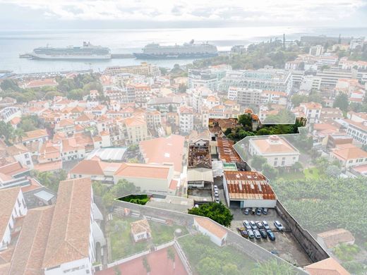 토지 / Funchal, Madeira