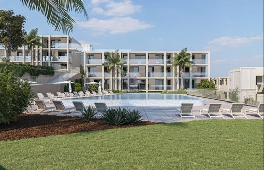 套间/公寓  Funchal, Madeira