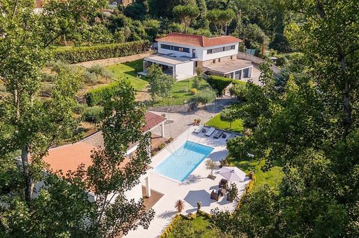 Villa in Marco de Canaveses, Distrito do Porto