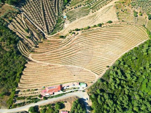 Ρουστίκ ή Αγροικίες σε Sabrosa, Distrito de Vila Real