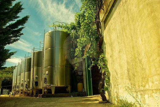 Rural or Farmhouse in São João da Pesqueira, Distrito de Viseu