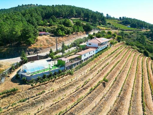 Rural or Farmhouse in Sabrosa, Distrito de Vila Real