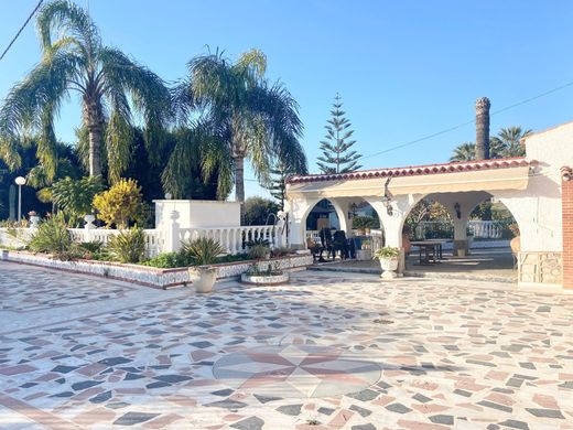 Gospodarstwo w Alicante, Provincia de Alicante