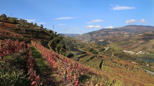 Lamego, Distrito de Viseuのカントリー風またはファームハウス