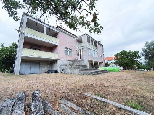 Boerderij in Santa Comba Dão, Distrito de Viseu