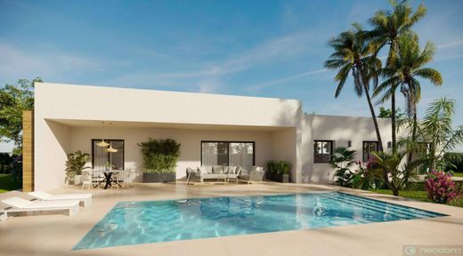 Alicante, アリカンテのヴィラ