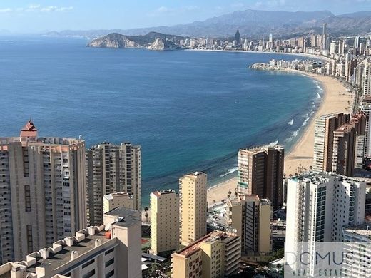 Alicante, アリカンテのペントハウス