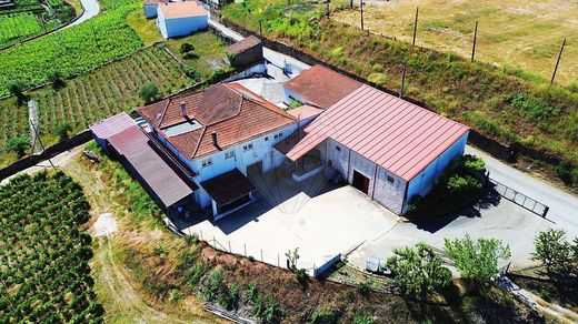 Landhaus / Bauernhof in São João da Pesqueira, Distrito de Viseu