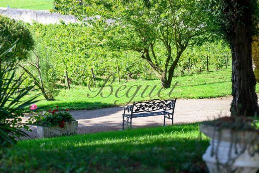 Luxury home in Vernou-sur-Brenne, Indre and Loire