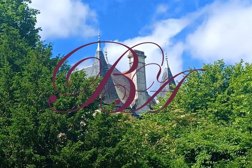 Luxe woning in Faye-la-Vineuse, Indre-et-Loire