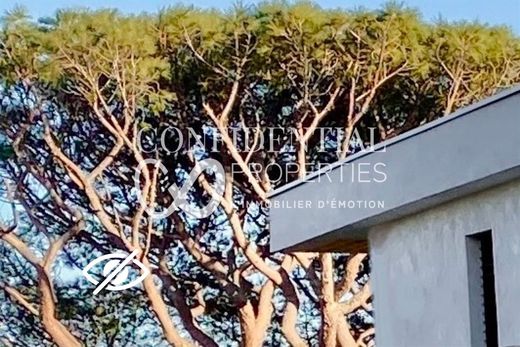 豪宅  Sainte-Maxime, Var