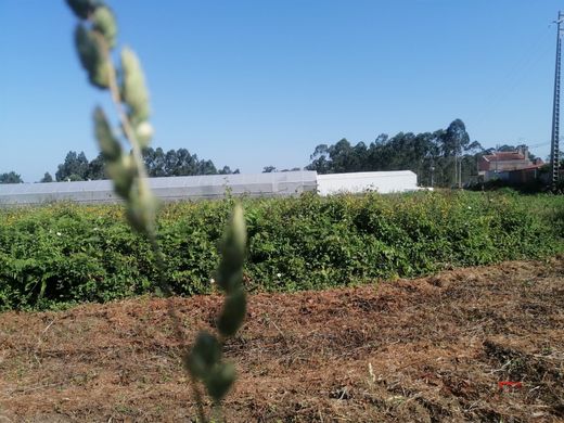 Land in Mosteirô, Santa Maria da Feira