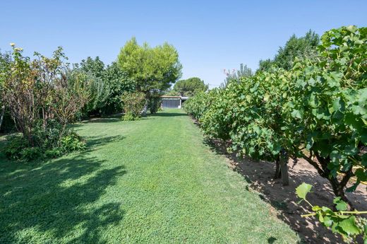 Luxury home in Fuente el Saz de Jarama, Province of Madrid