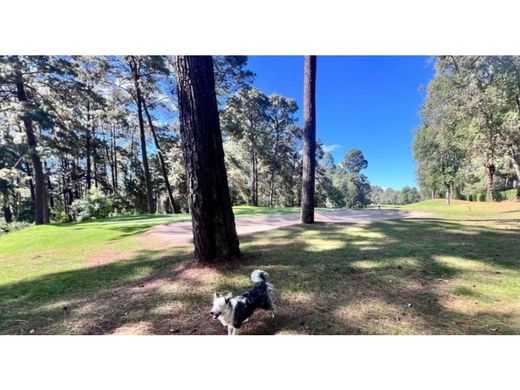 토지 / Valle de Bravo, Estado de México