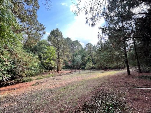 Land in Valle de Bravo, Estado de México