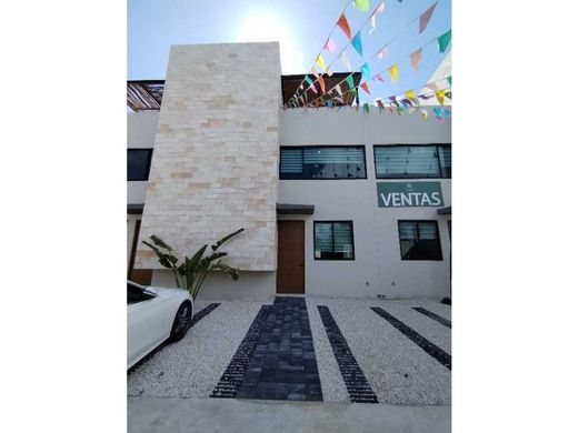 プラヤ・デル・カルメン
, Solidaridadの高級住宅