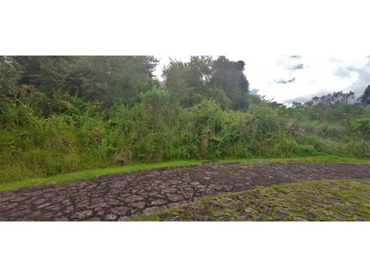 Land in Valle de Bravo, Estado de México