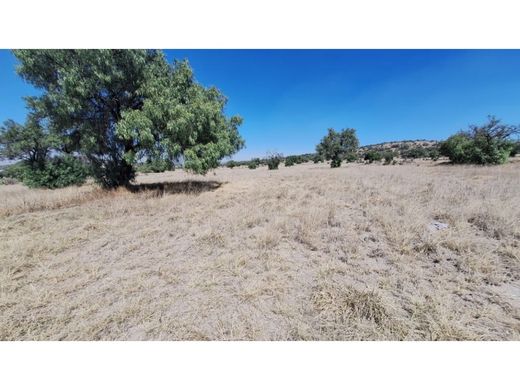 Land in Teotihuacán, Estado de México