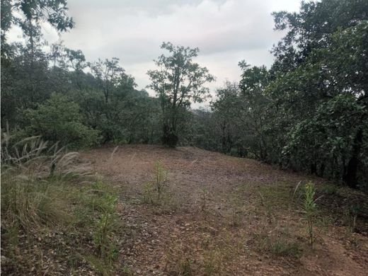 Land in Mineral del Chico, Hidalgo
