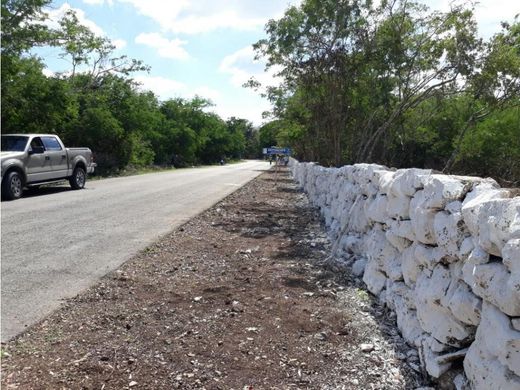 Αγροτεμάχιο σε Mérida, Estado de Yucatán