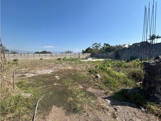 토지 / Jiutepec, Estado de Morelos