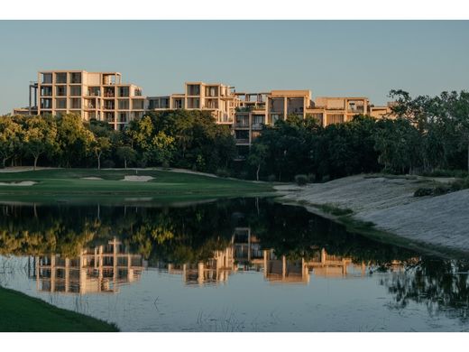 Daire Playa del Carmen, Solidaridad