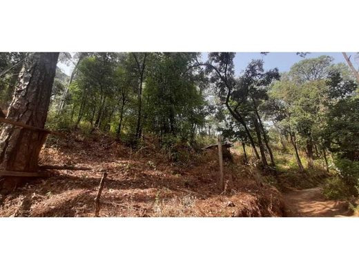 Αγροτεμάχιο σε Valle de Bravo, Estado de México